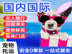 静巴机场物流国际宠物托运 【国
